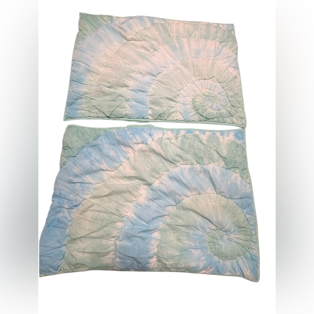 Pottery Barn Teen Quilted Sham Set  of 2 Aqua Blue Swirl Cotton Pillow Covers
